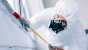 Professional Pest control in Ocilla, GA